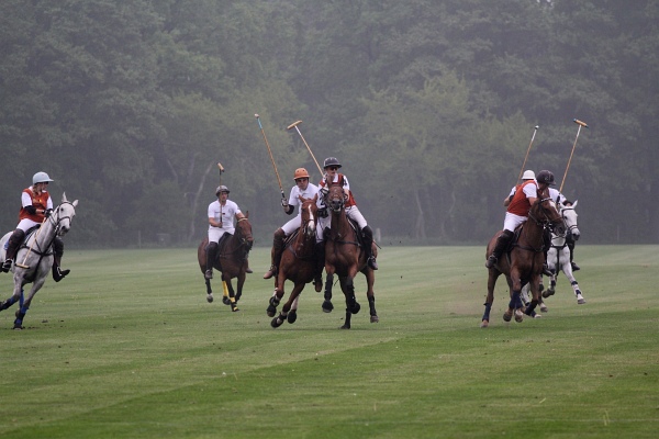 Polo_Art   109.jpg